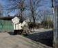 Control al Gărzii de Mediu în Sinteşti Ilfov deseuri FOTO Inquam Photos / George Călin