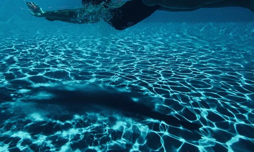 Nicole Cherry vara 2017 (2) jpeg