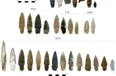 projectile points scaled e1768426933285 jpg
