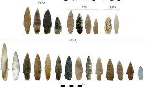 projectile points scaled e1768426933285 jpg