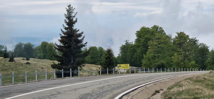 Noua balustradă de protecție se poate repara foarte repede Foto: Alin Ion