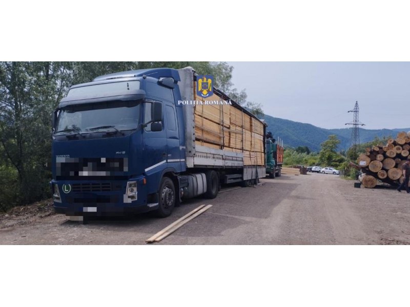 Furt de lemn ca-n codrii Neamţului. Diferențele de cantitate, mascate în transporturi legale 