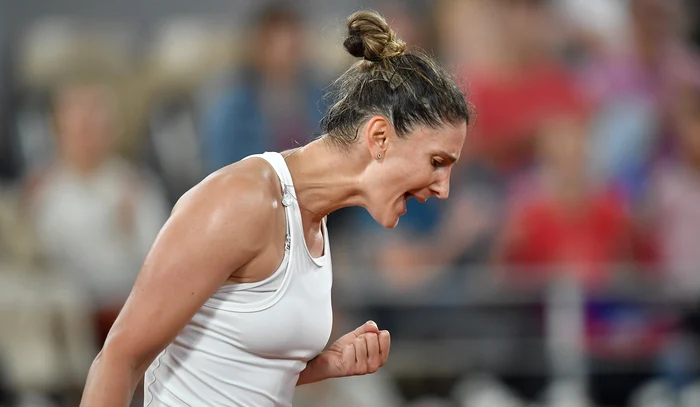 Irina Begu renunță temporar la circuitul WTA