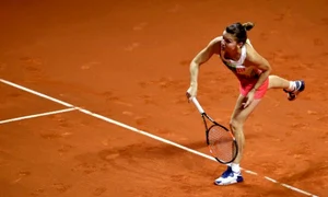 stuttgart halep 3 jpeg