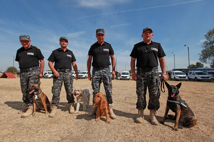Bobocii vor intra în pâine peste două săptămâni 