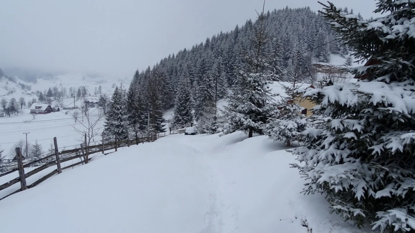 Peisaj de iarnă la Fundata SURSA FOTO Costel Crângan