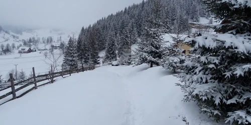 Peisaj de iarnă la Fundata SURSA FOTO Costel Crângan