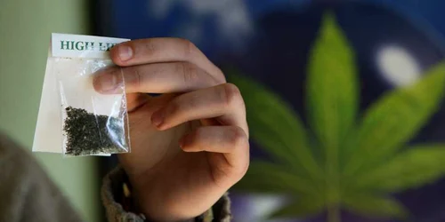 La domiciliul suspecţilor au fost găsite 4 kilograme de droguri