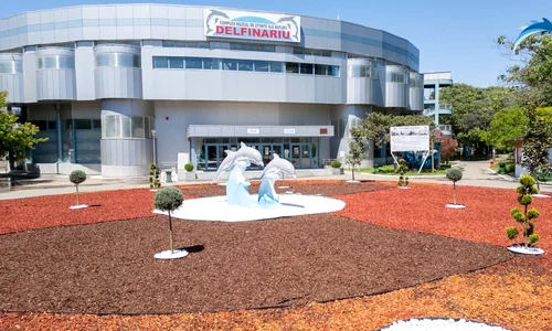 slide delfinariu6 jpg