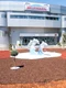 slide delfinariu6 jpg