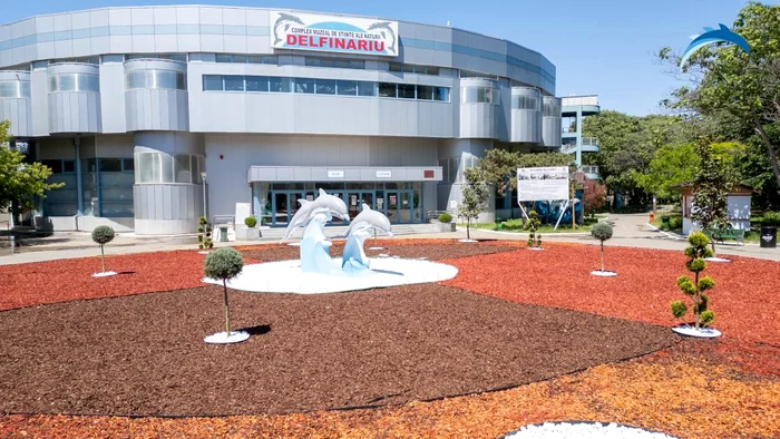 Delfinariul din Constanța / foto: delfinariu.ro