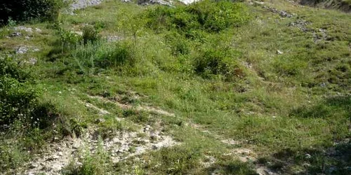 punctul fosilifer Ilovita 