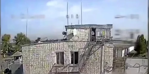 Captură de ecran 2024 08 24 142024 png