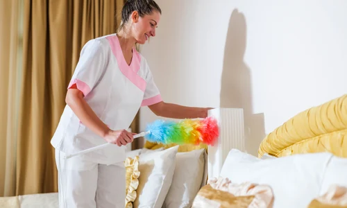 shutterstock 2446505489 jpg