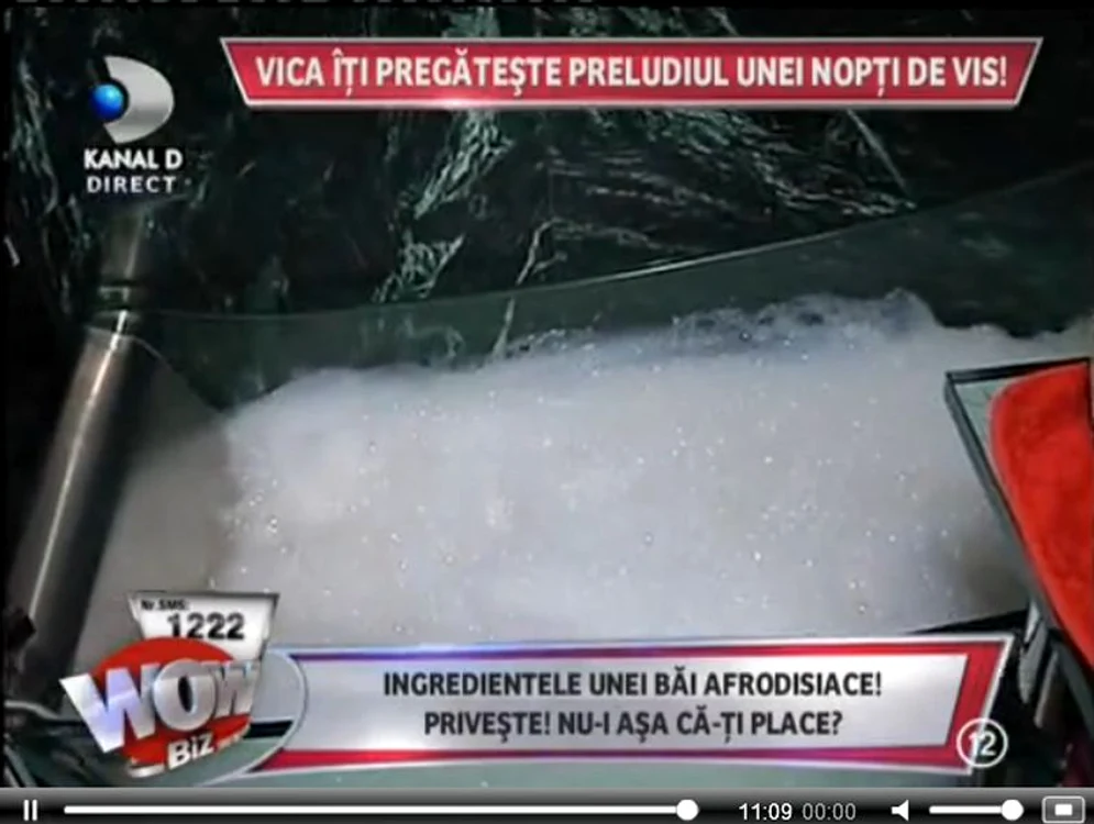 VIca Blochina
