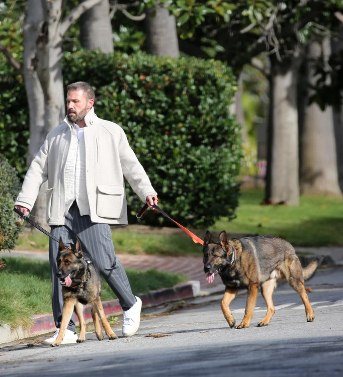 Ben Affleck și a luat al doilea câine de pază, Foto Profimedia (2) jpg