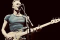 Sting jpg