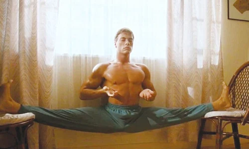 detaliu2 van damme jpeg
