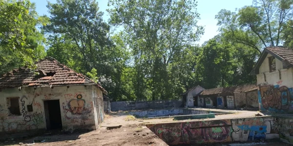 Baza Uszoda