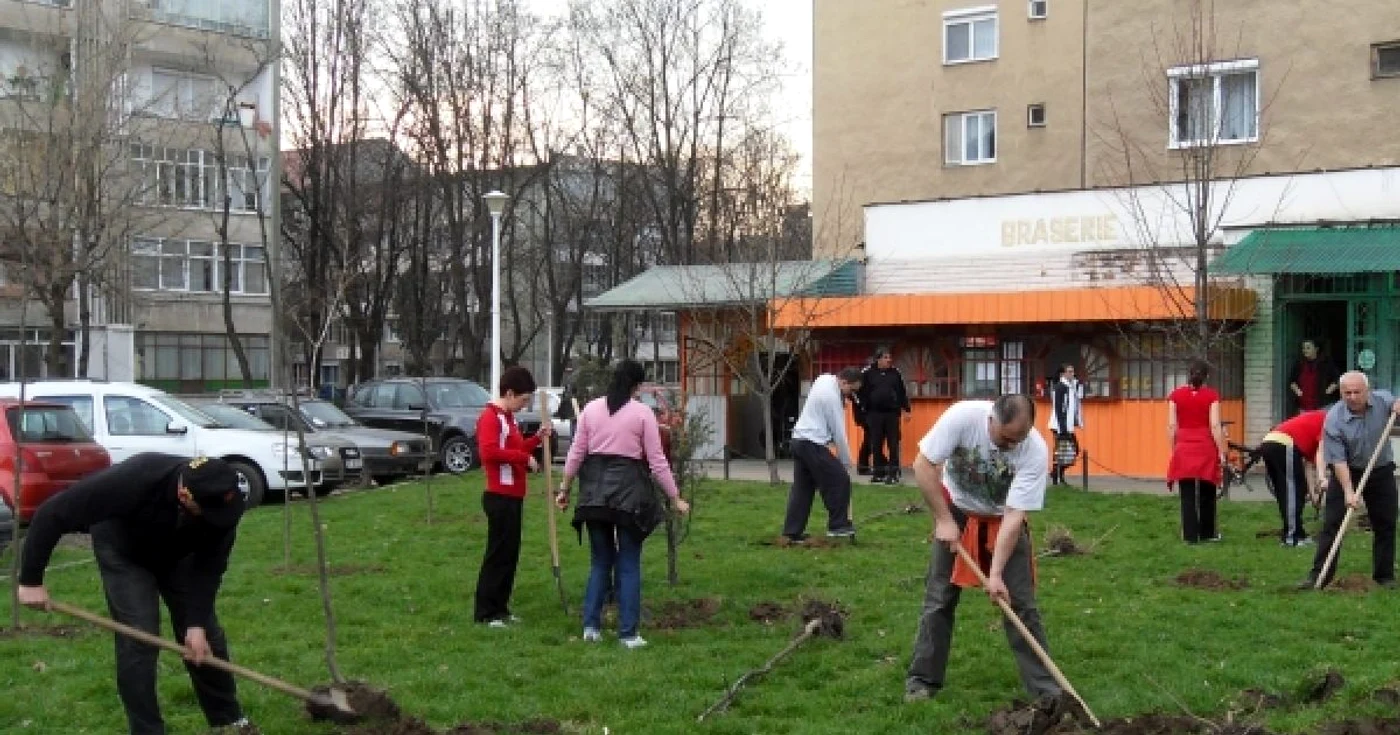 Patru centre spirituale și-au dat întâlnirea joi seara pentru a planta paltini