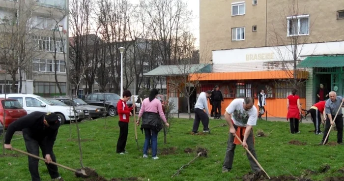 Patru centre spirituale și-au dat întâlnirea joi seara pentru a planta paltini