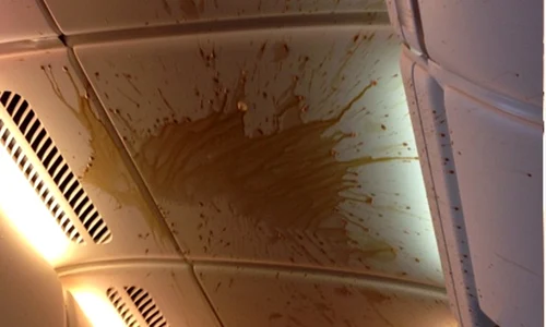 Turbulenţe au făcut ca avionul să piardă subit în altitudine (Instagram) jpeg