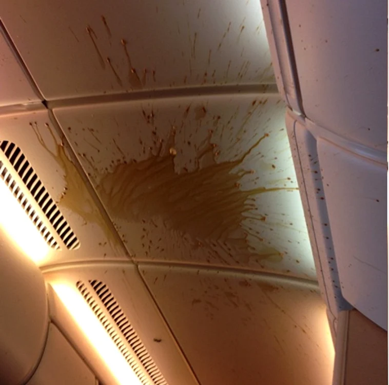 Turbulenţe au făcut ca avionul să piardă subit în altitudine (Instagram)