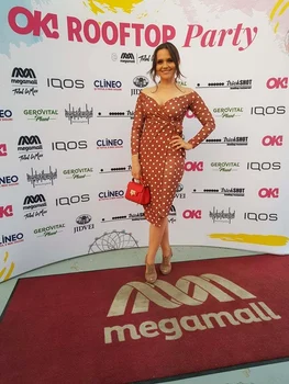 2 cristina siscanu ok rooftop party jpg jpeg