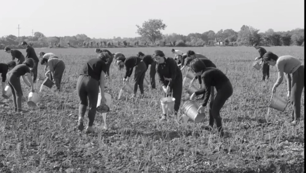Film de propagandă despre sistemul de irigații din comunism: „Niciun strop de apă nu a căzut decât de jos în sus. S-au obținut producții aproape duble de legume“ VIDEO 