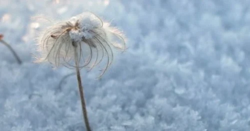 tundra acvariu tulcea