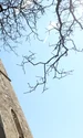 Biserica medievală din Sântamaria Orlea  Foto Daniel Guță  ADEVĂRUL (41) JPG