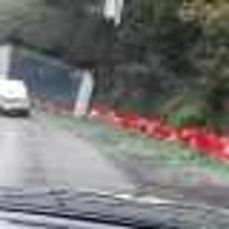 Berea transportatÄ de un tir pe DN 7 a ajuns pe Åosea.Â  Åoferul era sub influenÅ£a alcoolului