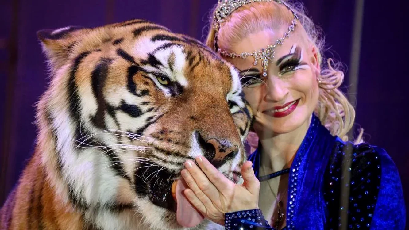 „Regina Tigrilor” din Germania Foto: Getty images
