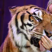 423751a0 527c 11f1 95cb 599f90c1b0b2 jpg webp