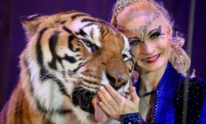 423751a0 527c 11f1 95cb 599f90c1b0b2 jpg webp