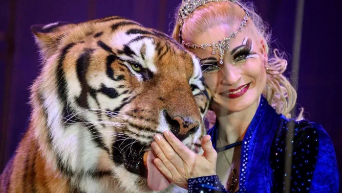 „Regina Tigrilor” din Germania Foto: Getty images