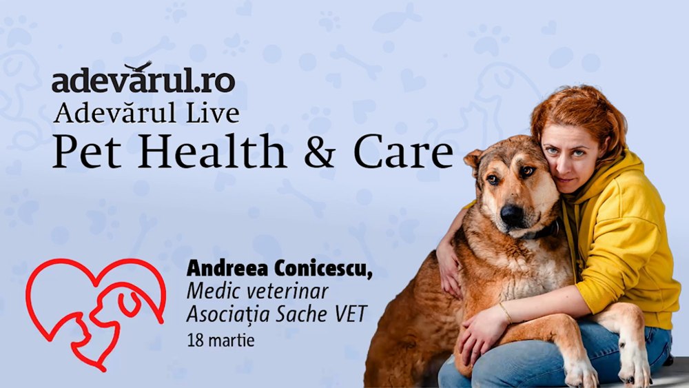 Cum ne ajută animalele de companie să combatem stresul, depresia și anxietatea. Aflăm de la  Andreea Conicescu, medic veterinar 