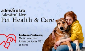 Cum ne ajută animalele de companie să combatem stresul, depresia și anxietatea mp4 thumbnail png