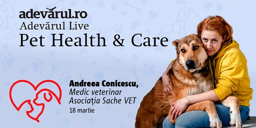 Cum ne ajută animalele de companie să combatem stresul, depresia și anxietatea mp4 thumbnail png
