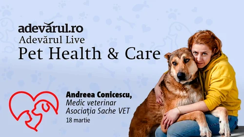 Cum ne ajută animalele de companie să combatem stresul, depresia și anxietatea mp4 thumbnail png