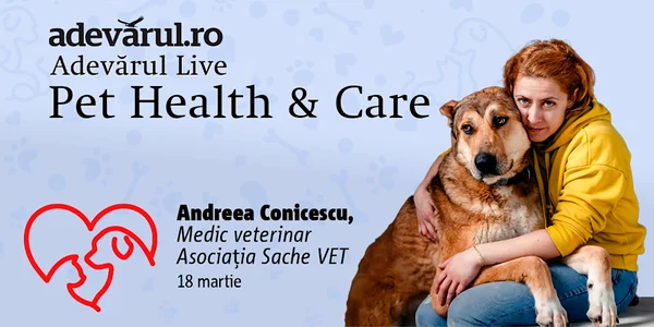 Cum ne ajută animalele de companie să combatem stresul, depresia și anxietatea mp4 thumbnail png