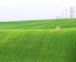 Fotografiile care au transformat Bucovina în Toscana. FOTO Cătălin Urdoi