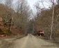Valea Anineșului Drumul spre Fața Cetei (1) jpg