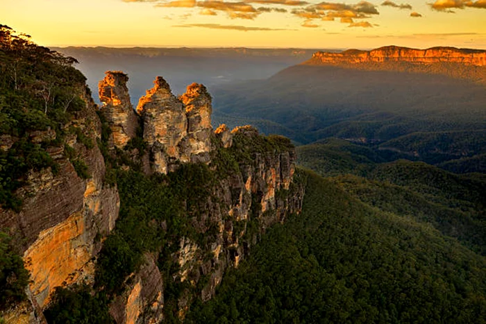 Acest animal trăiește în Australia / foto: IStock