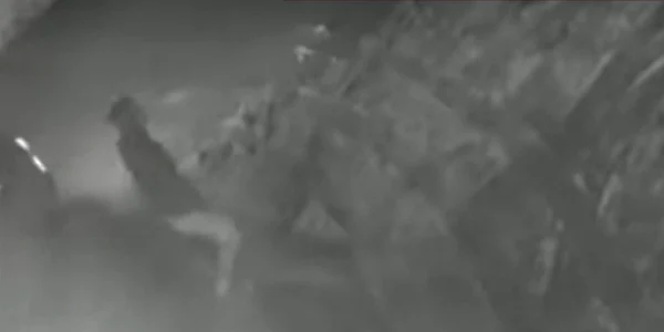 Șoferul CLUJ surprins cand a scapat de cadavru  Vaptura PRO TV png