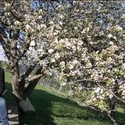 Charley Ottley la filmările pentru Discover Oltenia Foto Captură video