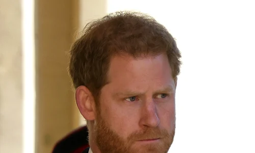 11 profimedia harry1 jpg jpeg