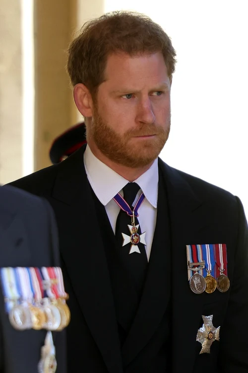 11 profimedia harry1 jpg jpeg