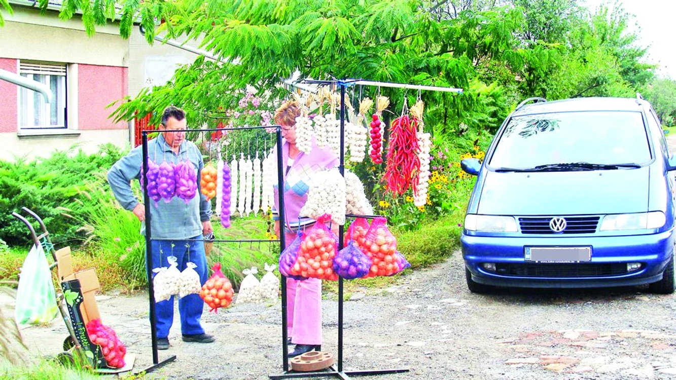 Funiile de ceapă,  usturoi sau paprika, frumos aliniate în faţa  porţii lui Lajos  Unterverg, îţi iau ochii