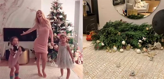 Pisica a distrus bradul Andreei